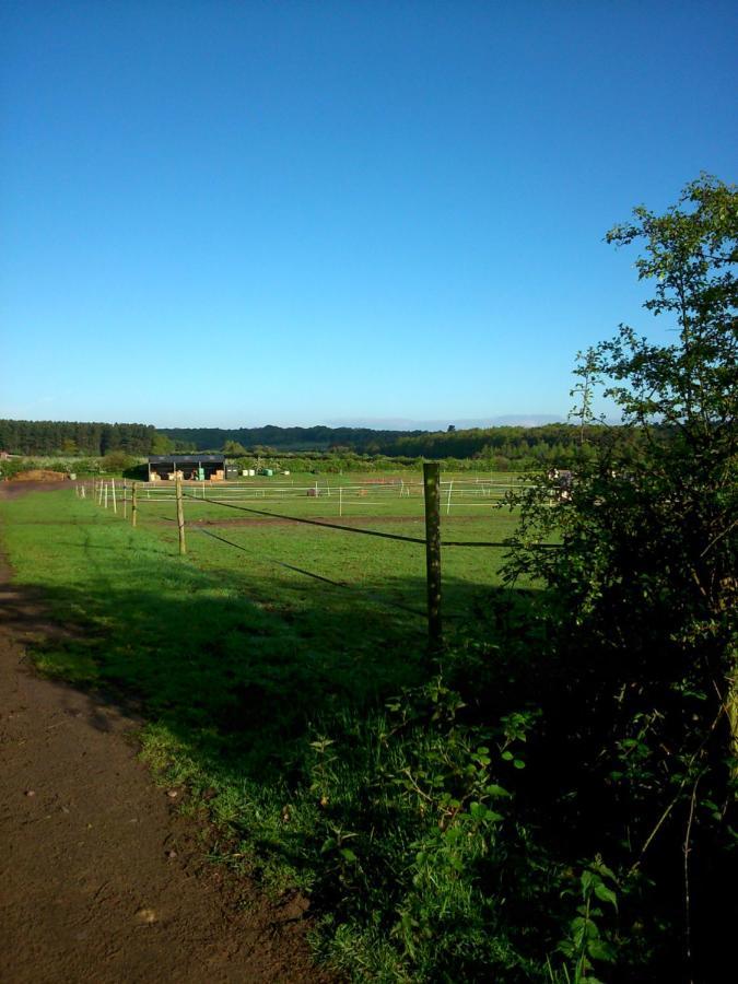 Bed and Breakfast Clumber Lane End Farm Worksop Zewnętrze zdjęcie