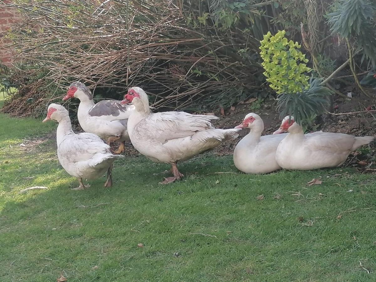 Bed and Breakfast Clumber Lane End Farm Worksop Zewnętrze zdjęcie