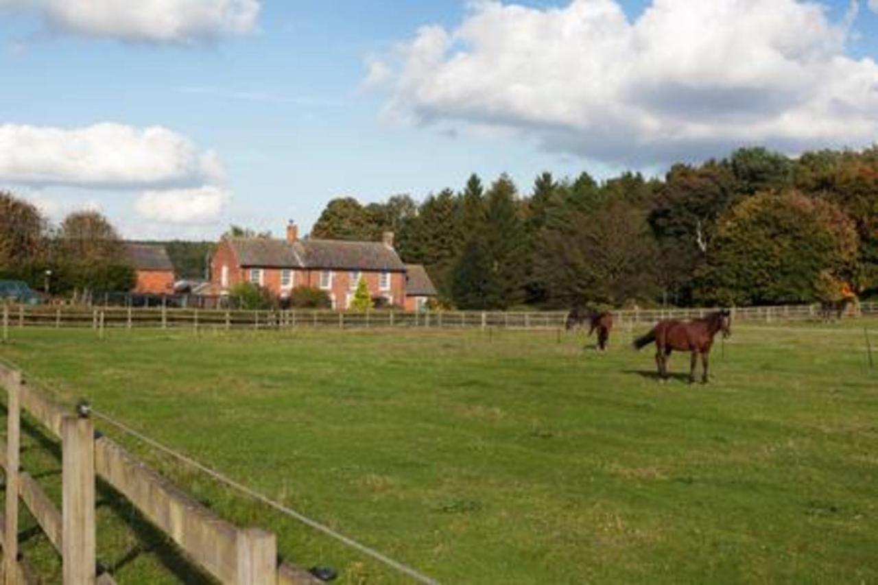 Bed and Breakfast Clumber Lane End Farm Worksop Zewnętrze zdjęcie